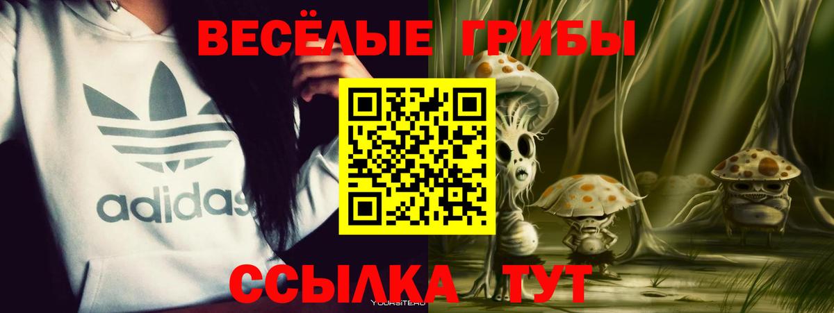 Галлюциногенные грибы мицелий Красногорск