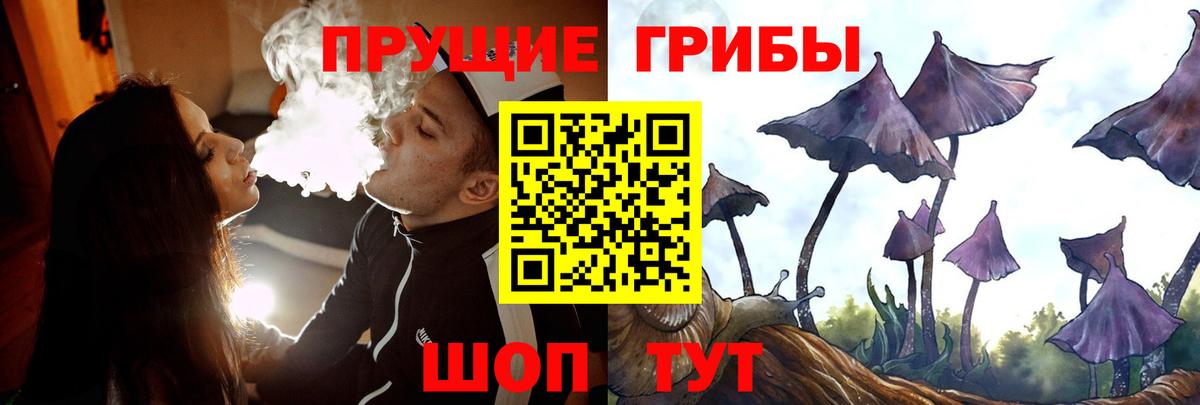 Галлюциногенные грибы прущие грибы  где купить наркоту  Вход с VPN  Красногорск  Псилоцибиновые грибы Psilocybine cubensis 